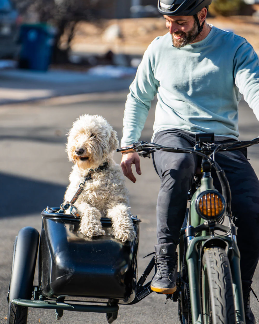 MOD Easy SideCar3 – 119,99€/mois – Image 4