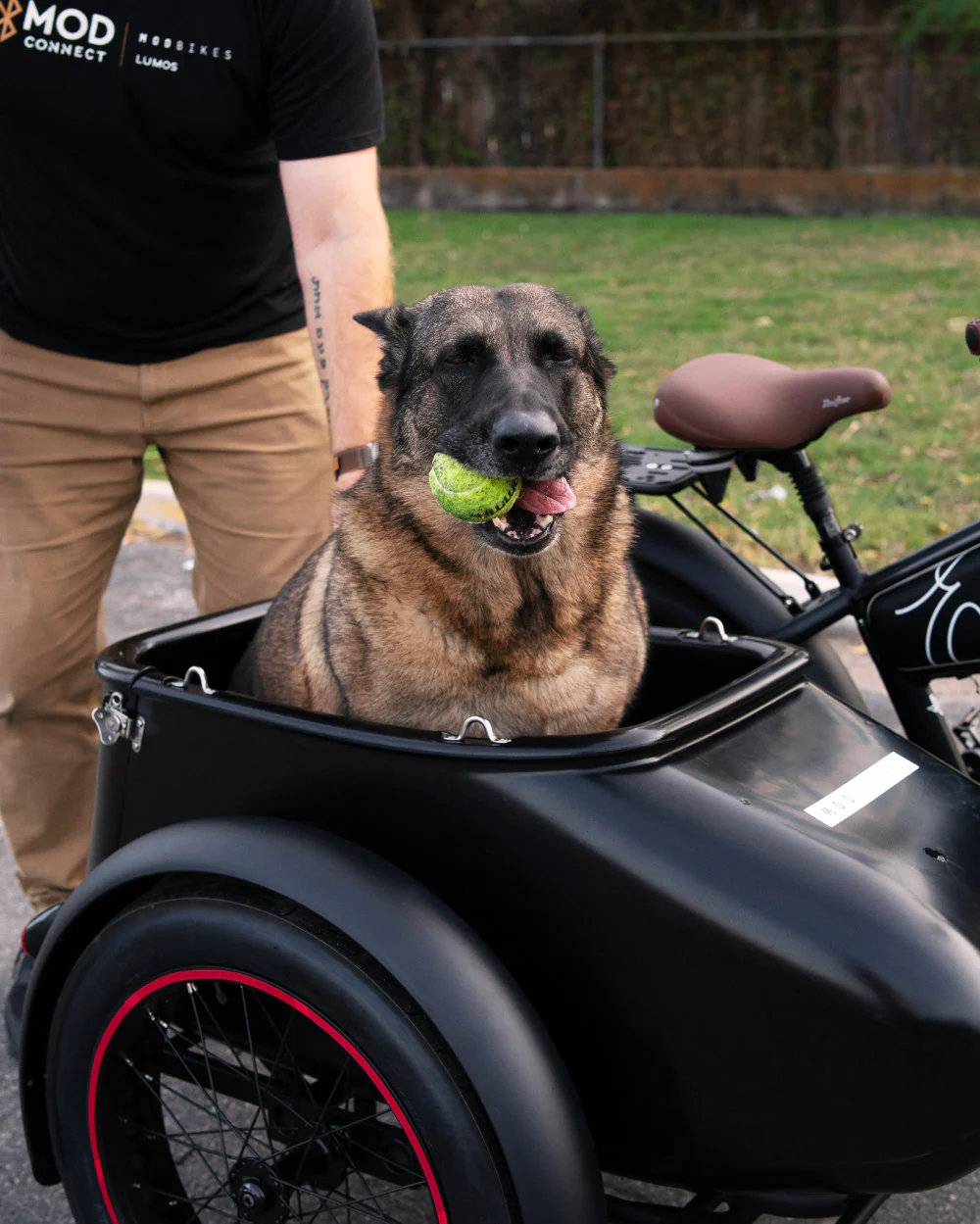 MOD Easy SideCar3 – 119,99€/mois – Image 6